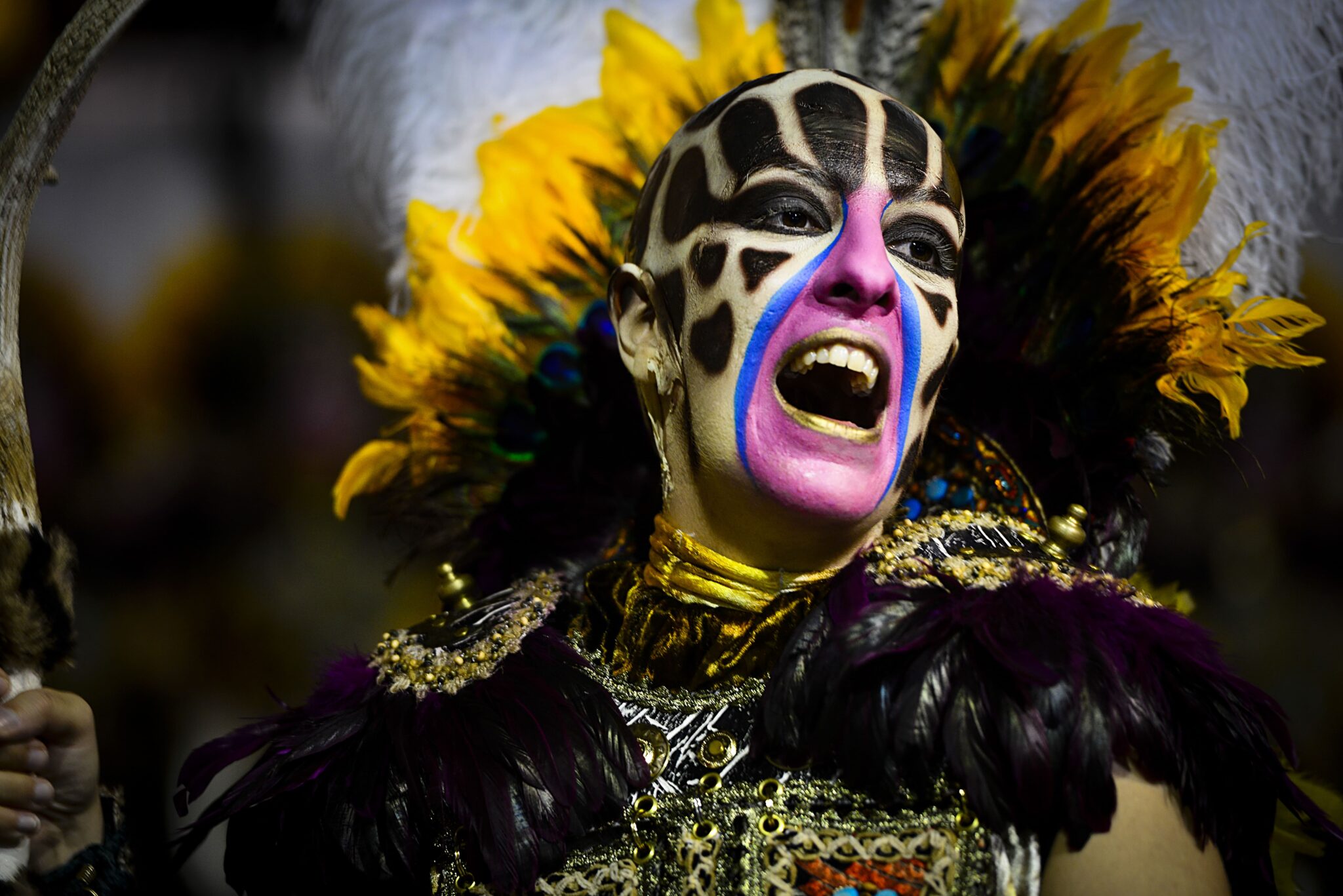 Desfile 6