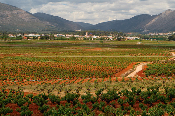 Jalón